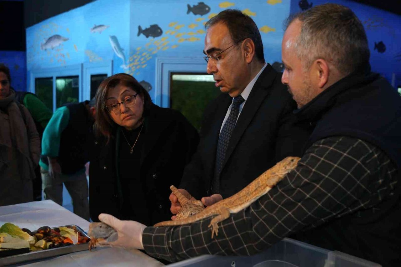 Kaçak yollarla yurda sokulan 108 hayvanın yeni yuvası Gaziantep oldu