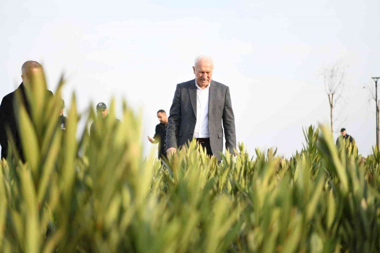 Millet Bahçesi ve Sahil Projesi Lapseki’ye büyük değer katacak