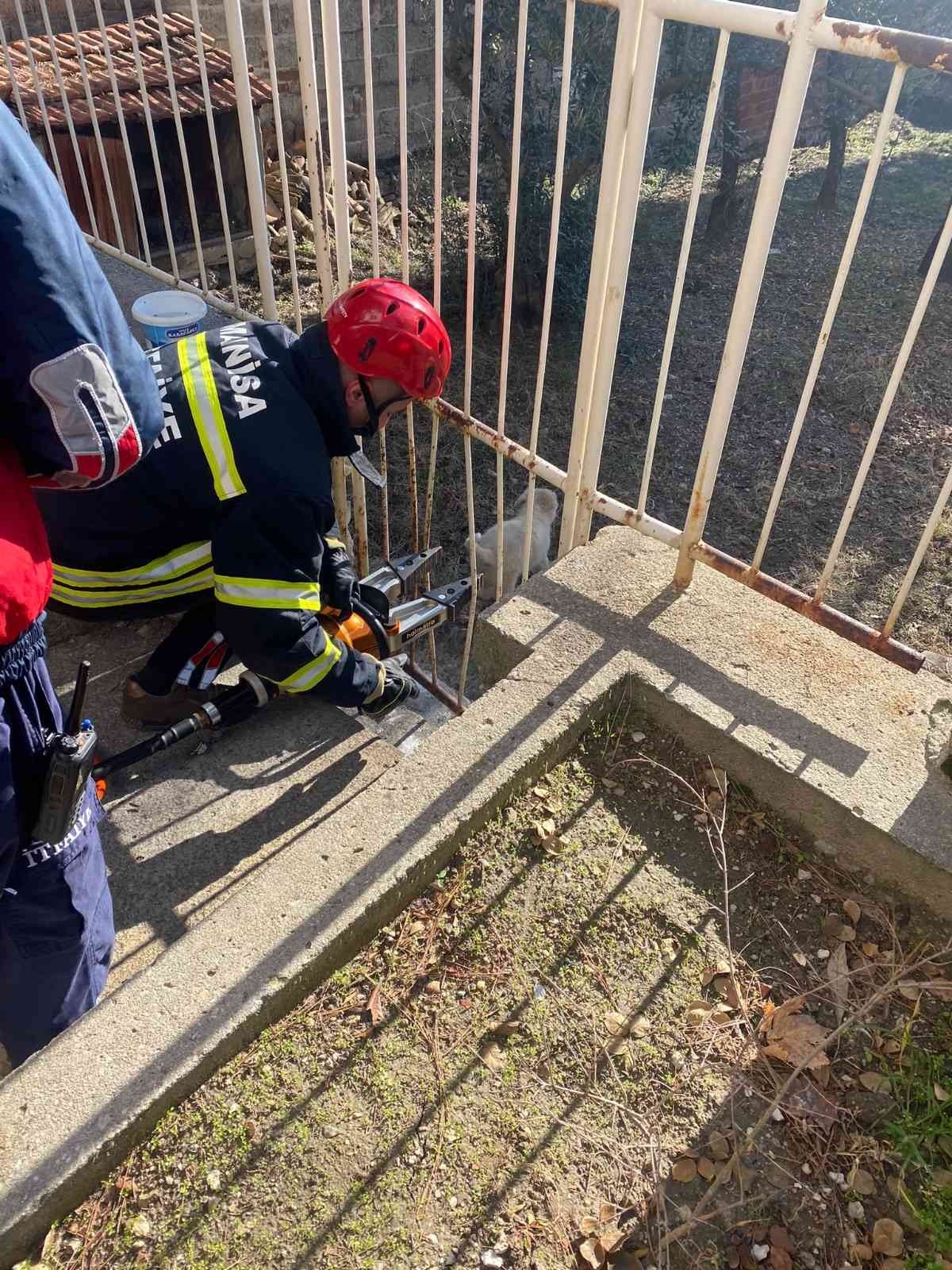 Bahçe demirlerine sıkışan köpeği itfaiye kurtardı