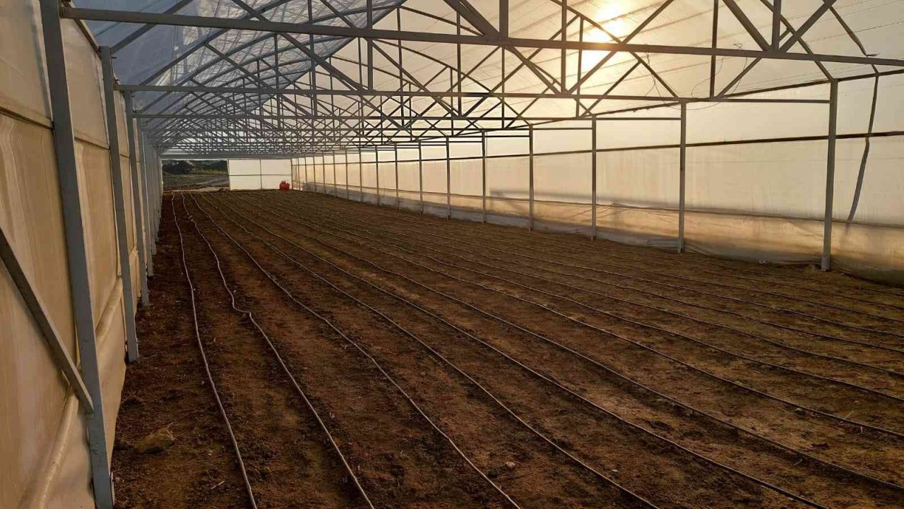 Tekirdağ seracılığında hedef İstanbul pazarı