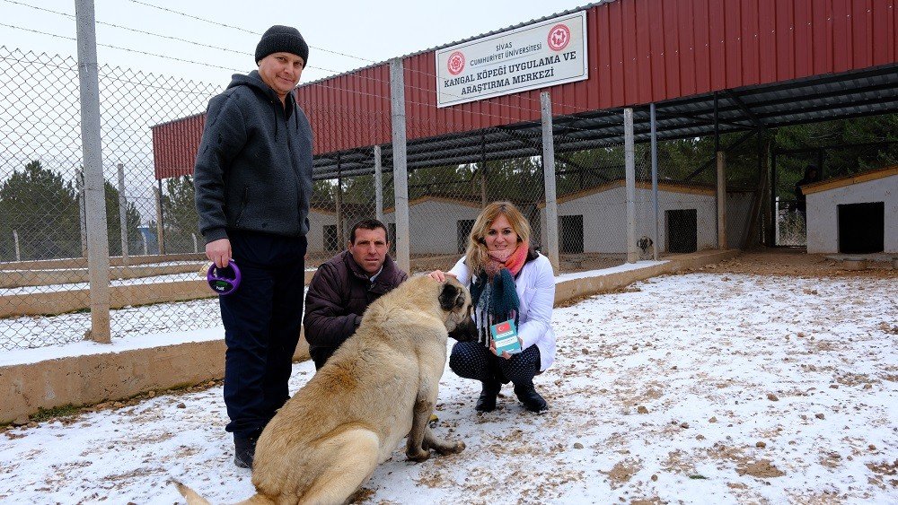 Anadolu aslanları çiplendi