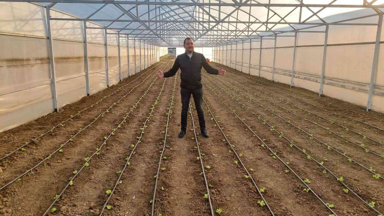 Tekirdağ seracılığında hedef İstanbul pazarı