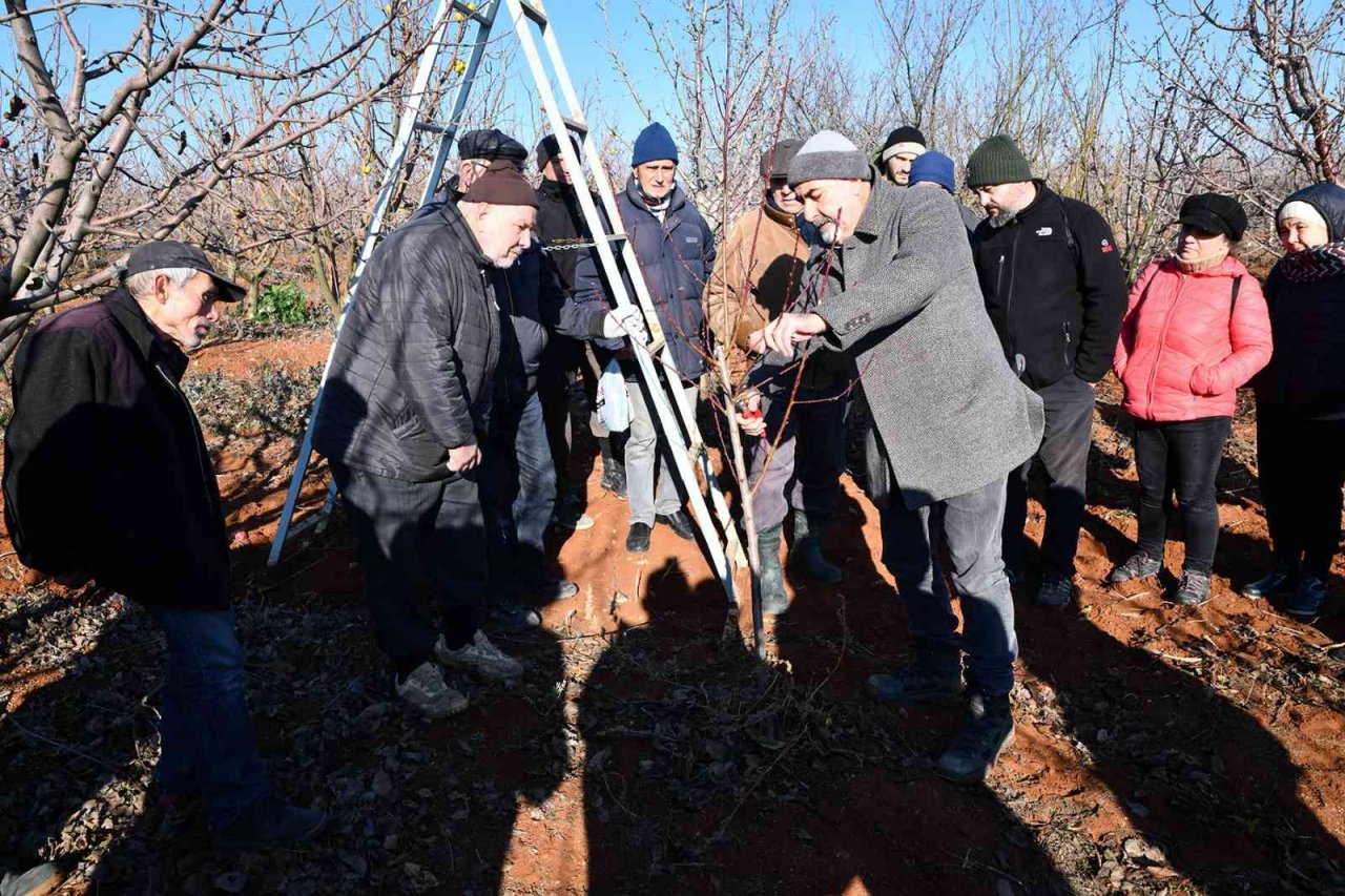 Üreticilere budama eğitimi verildi