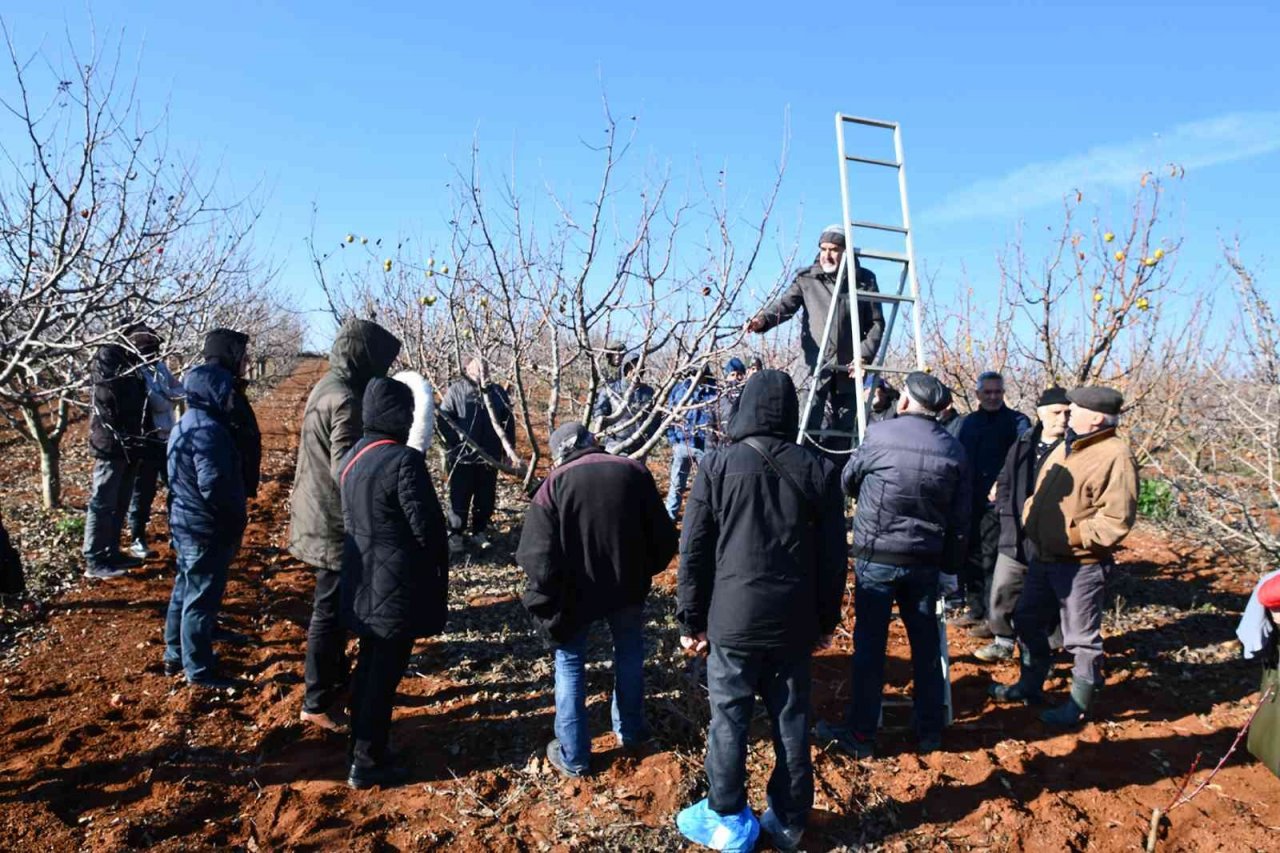 Üreticilere budama eğitimi verildi