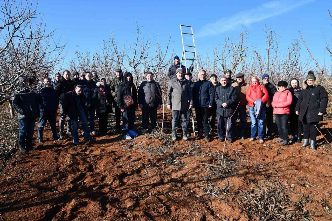 Üreticilere budama eğitimi verildi