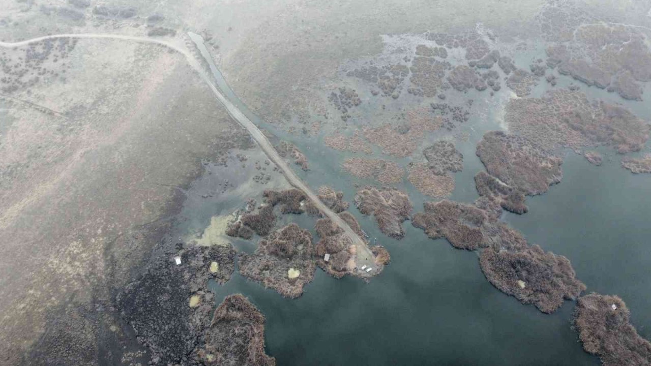 Eber Gölü’nden sevindiren görüntü