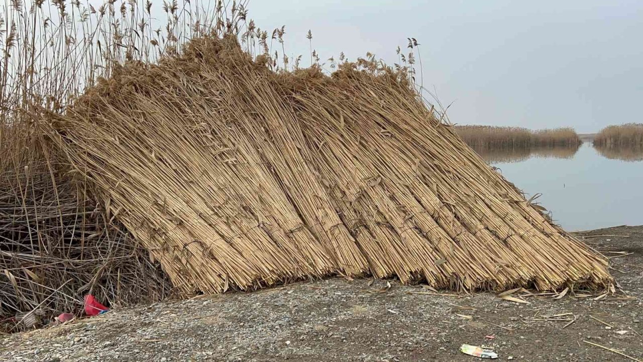 Eber Gölü’nden sevindiren görüntü