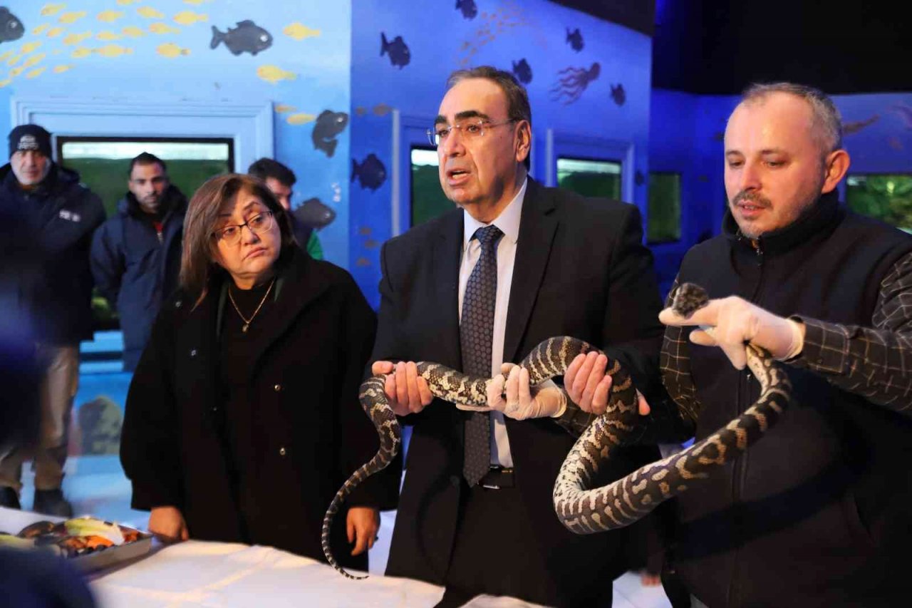 Kaçak yollarla yurda sokulan 108 hayvanın yeni yuvası Gaziantep oldu