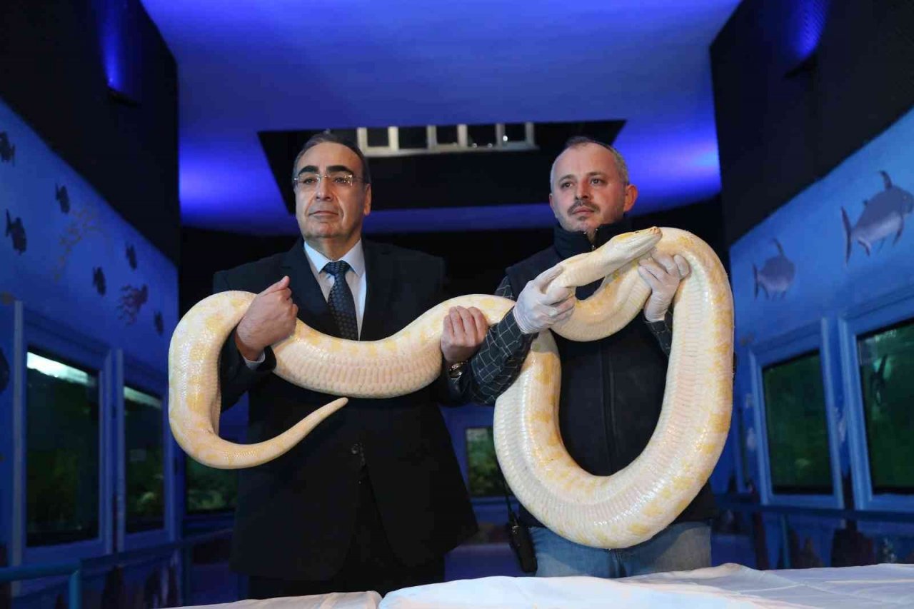 Kaçak yollarla yurda sokulan 108 hayvanın yeni yuvası Gaziantep oldu