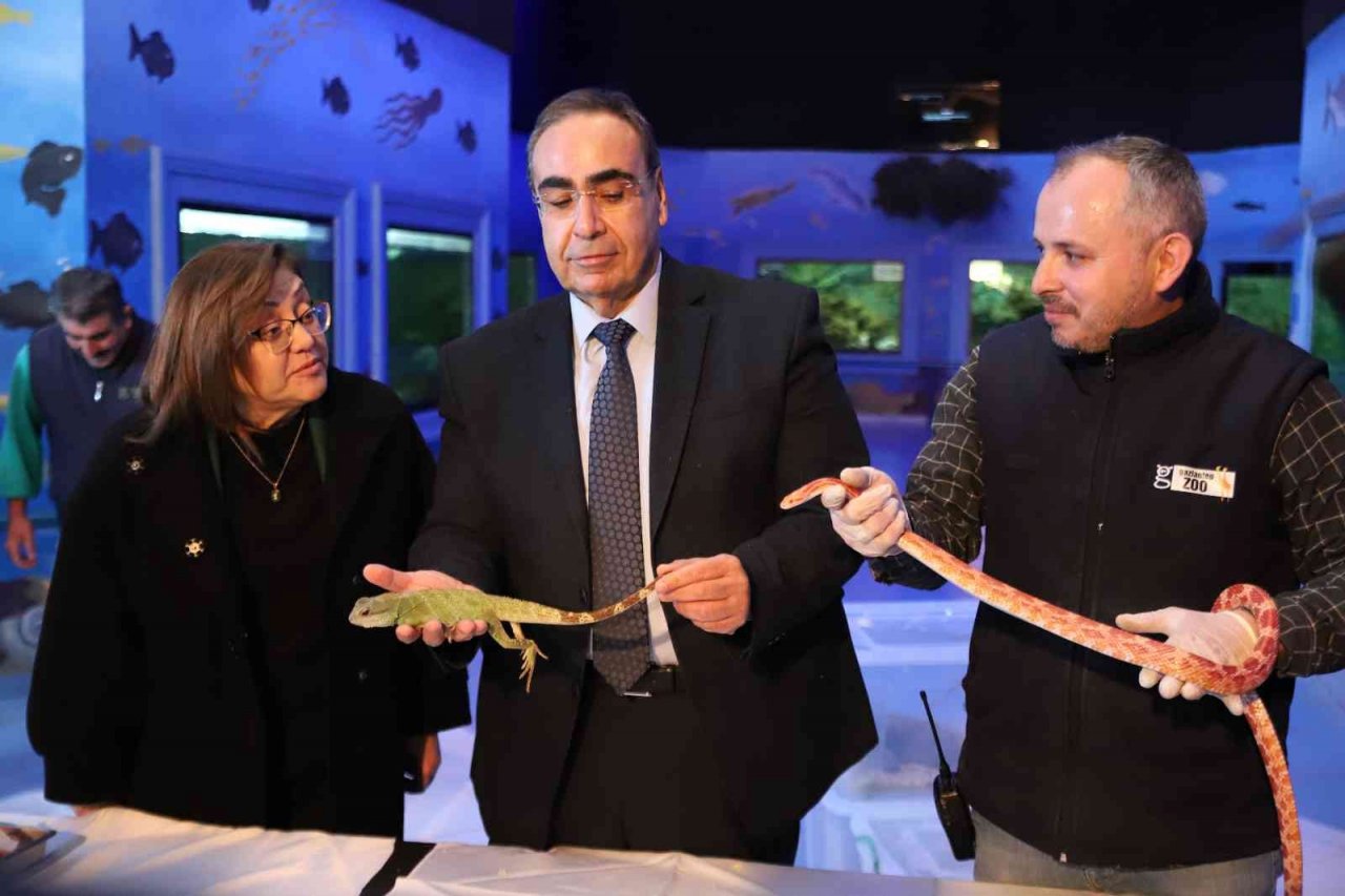 Kaçak yollarla yurda sokulan 108 hayvanın yeni yuvası Gaziantep oldu