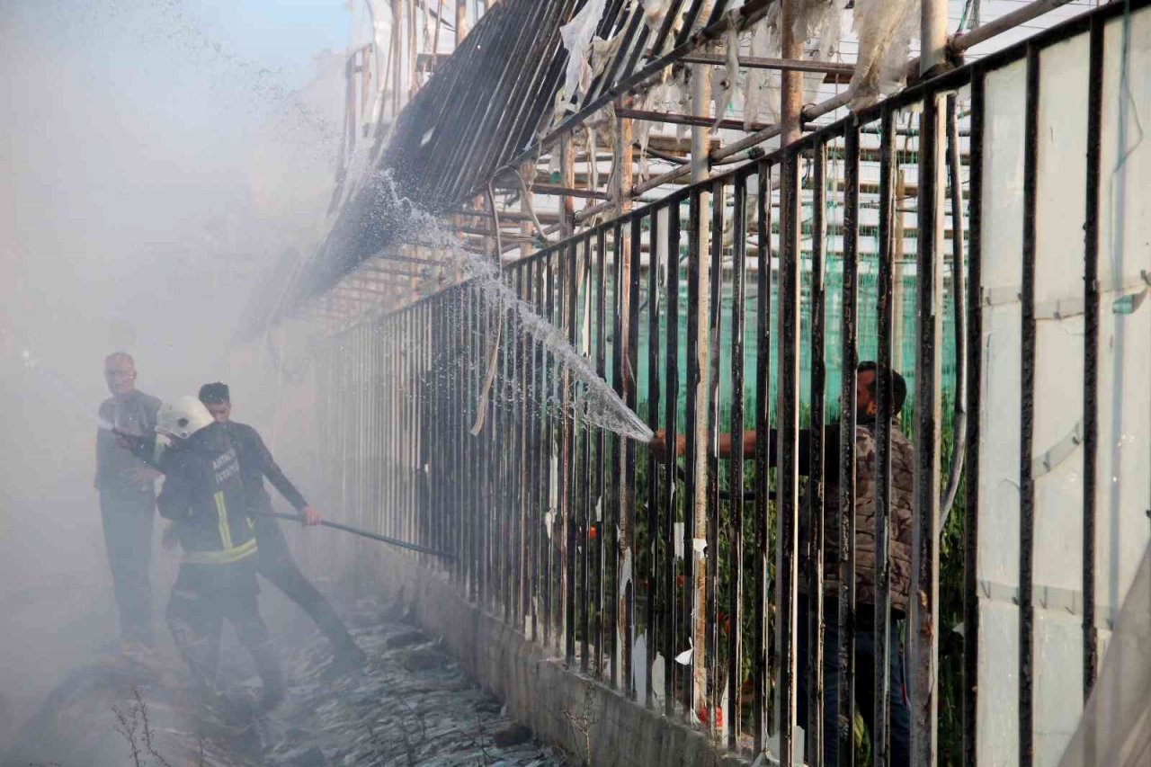 Antalya’da paketleme tesisinde yangın paniği