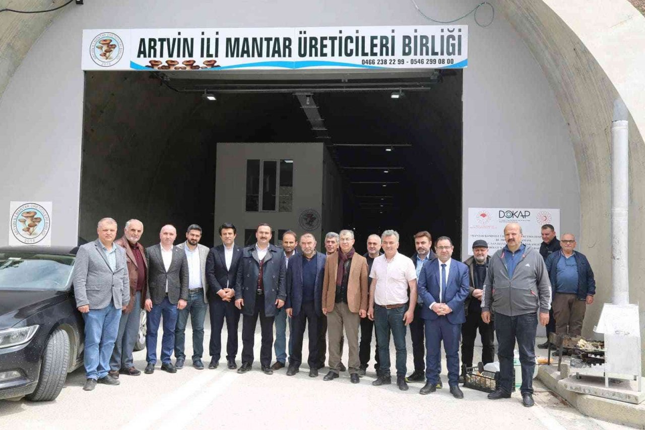 Artvin’de atıl duruma düşen karayolu tüneli mantar üretim tesisi haline geldi
