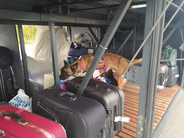 Jandarma ekipleri 2022’yi başarıyla geçirdi