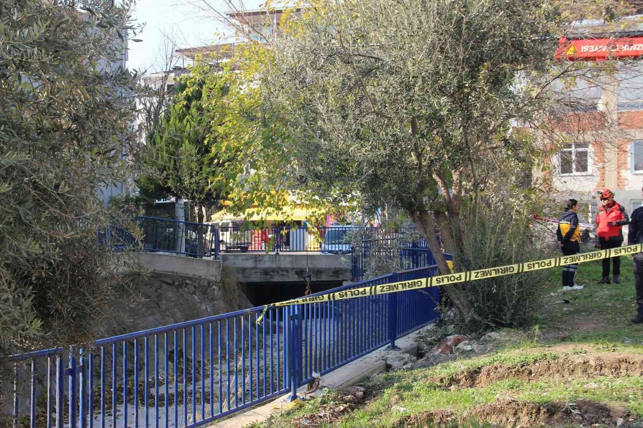 Zeytin toplamak için çıktığı ağaç sonu oldu