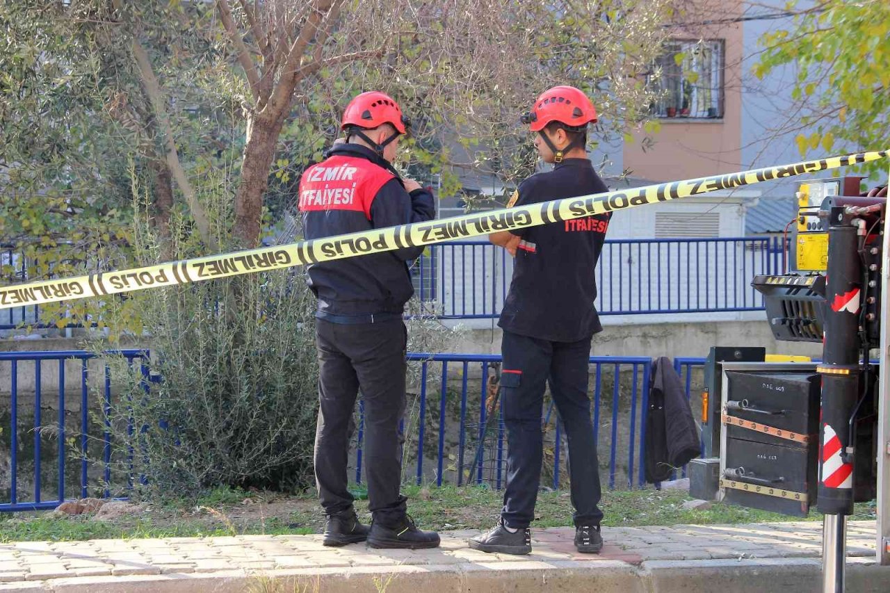 Zeytin toplamak için çıktığı ağaç sonu oldu