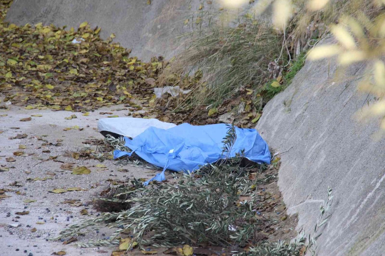 Zeytin toplamak için çıktığı ağaç sonu oldu