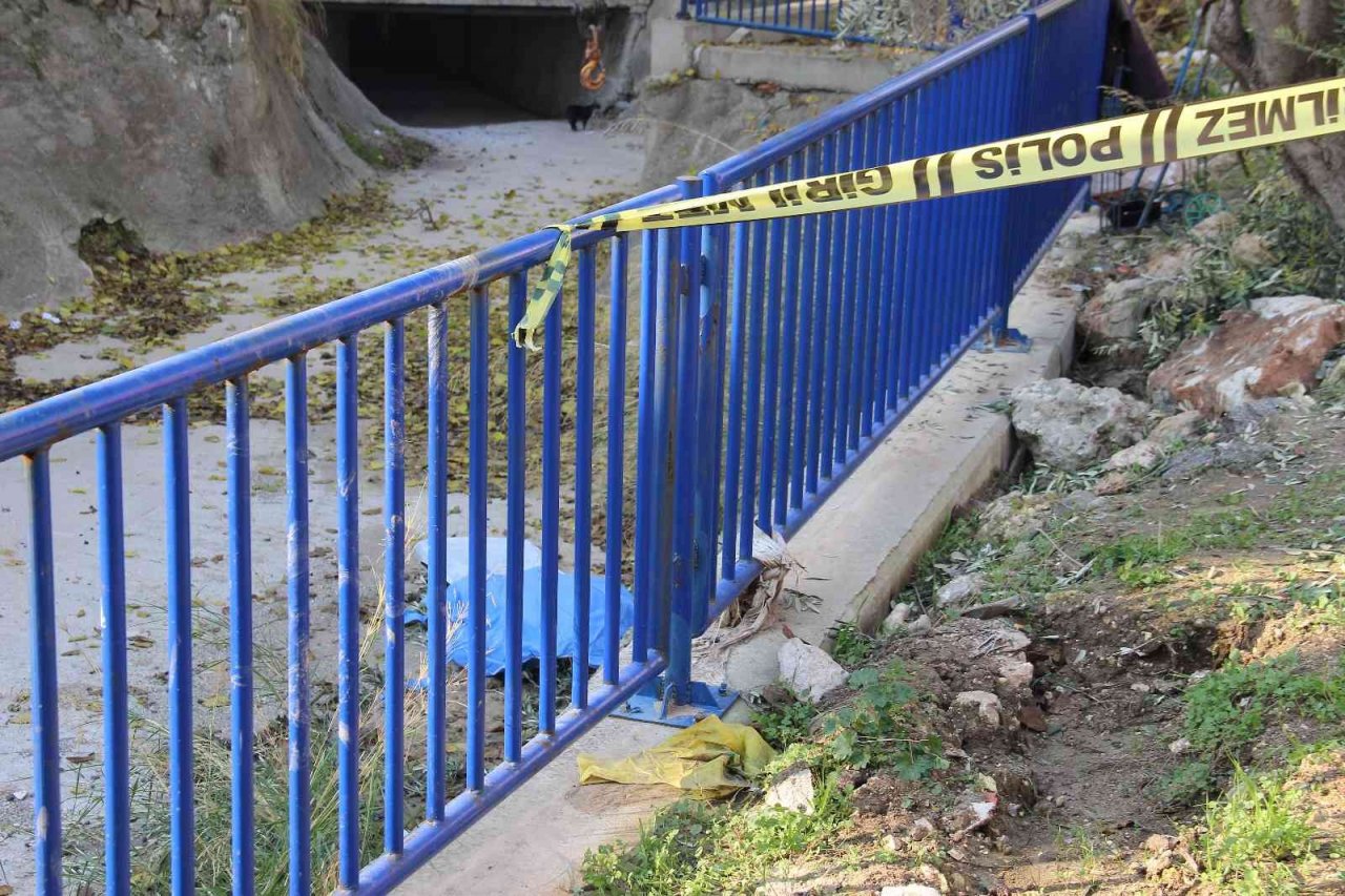 Zeytin toplamak için çıktığı ağaç sonu oldu