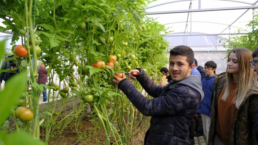 Antakya Belediyesi engelsiz pazar tezgahı kurdu