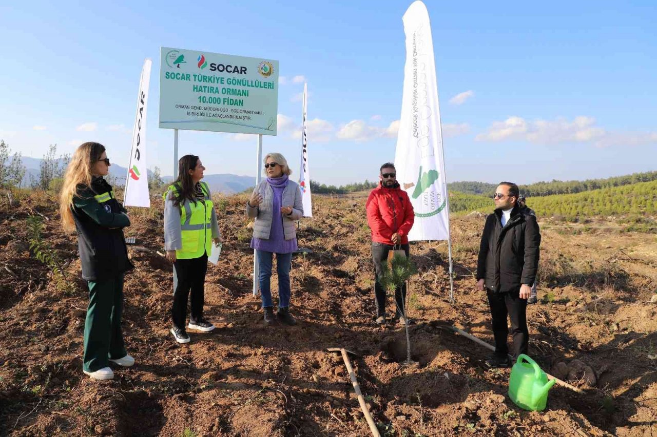 Geri dönüştürülen kağıtlardan 10 bin fidanlık orman oluşturuldu