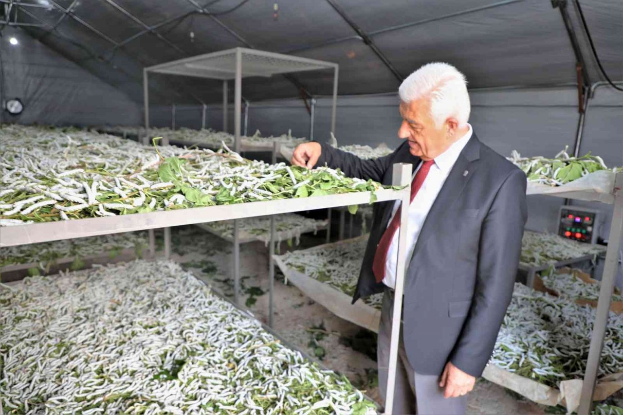 SODEV’den Büyükşehir’e cinsiyet eşitlikçi dönüşüm ödülü