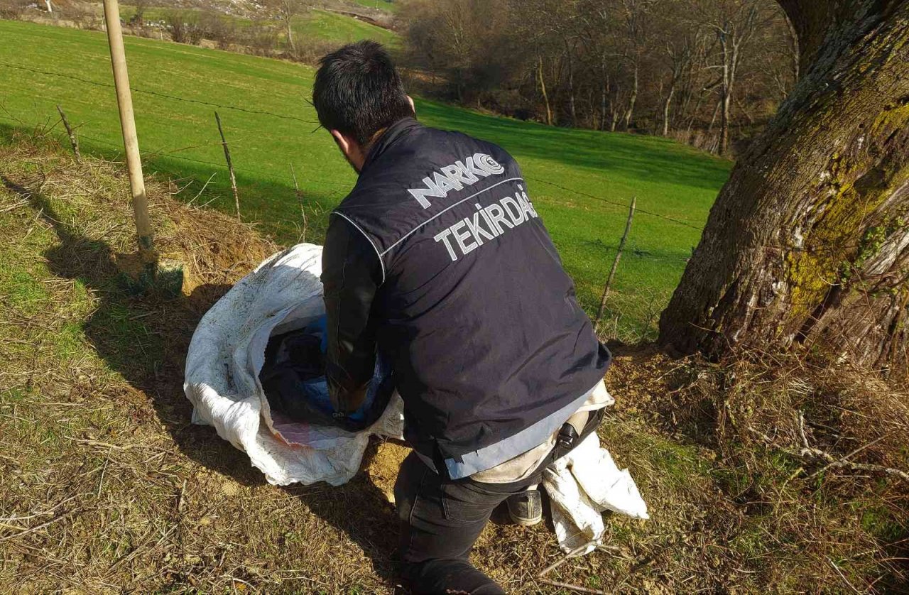 Köyden adeta esrar fışkırdı: Her yere esrar gizlenmiş