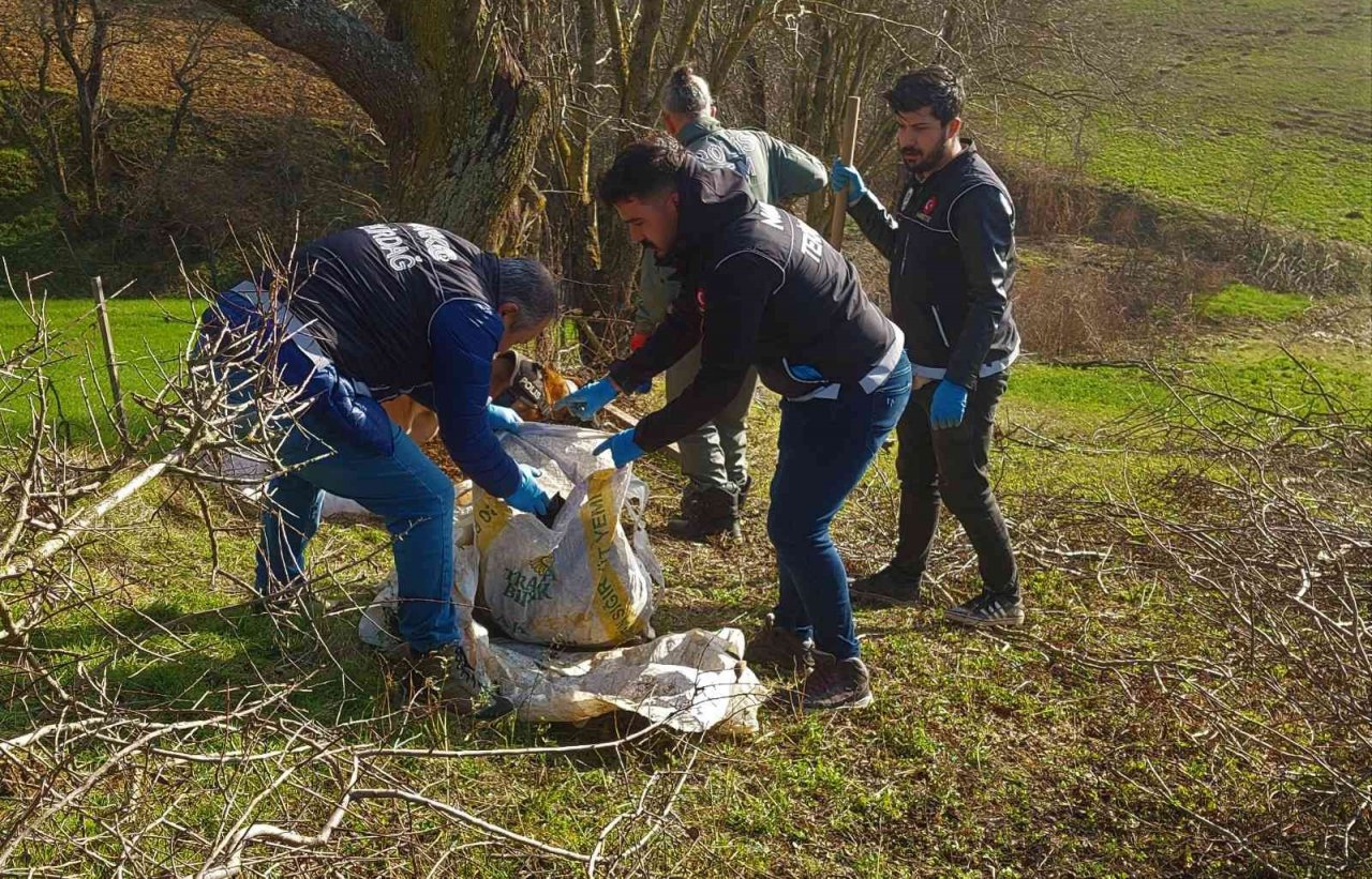 Köyden adeta esrar fışkırdı: Her yere esrar gizlenmiş