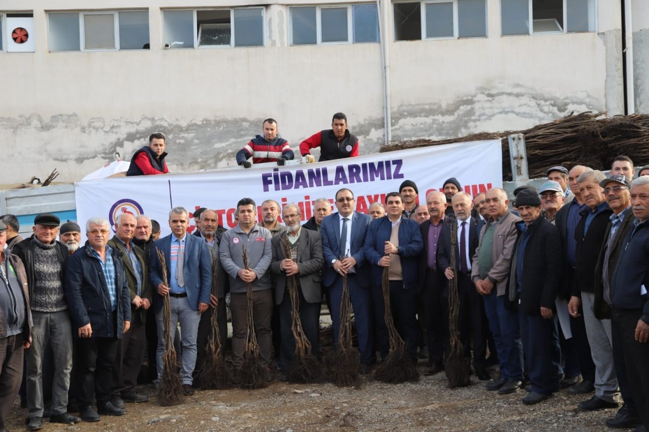 Denizli cevizin marka şehri olacak