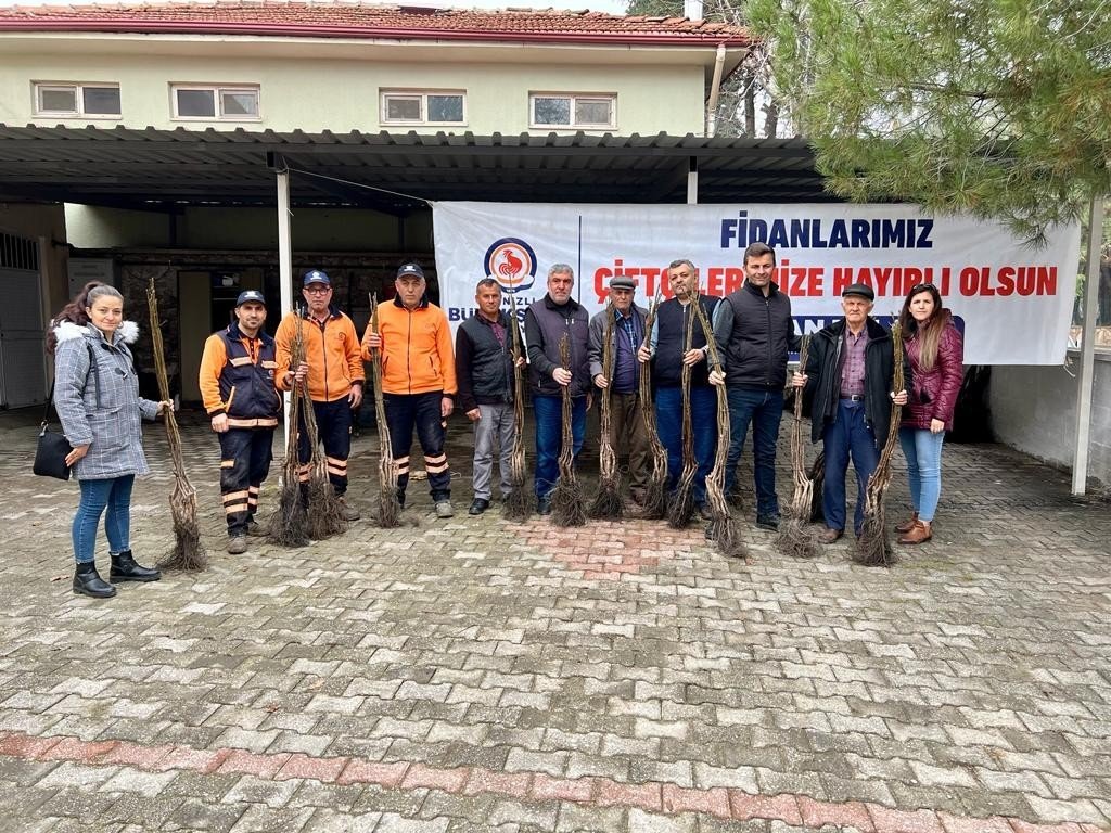 Denizli cevizin marka şehri olacak