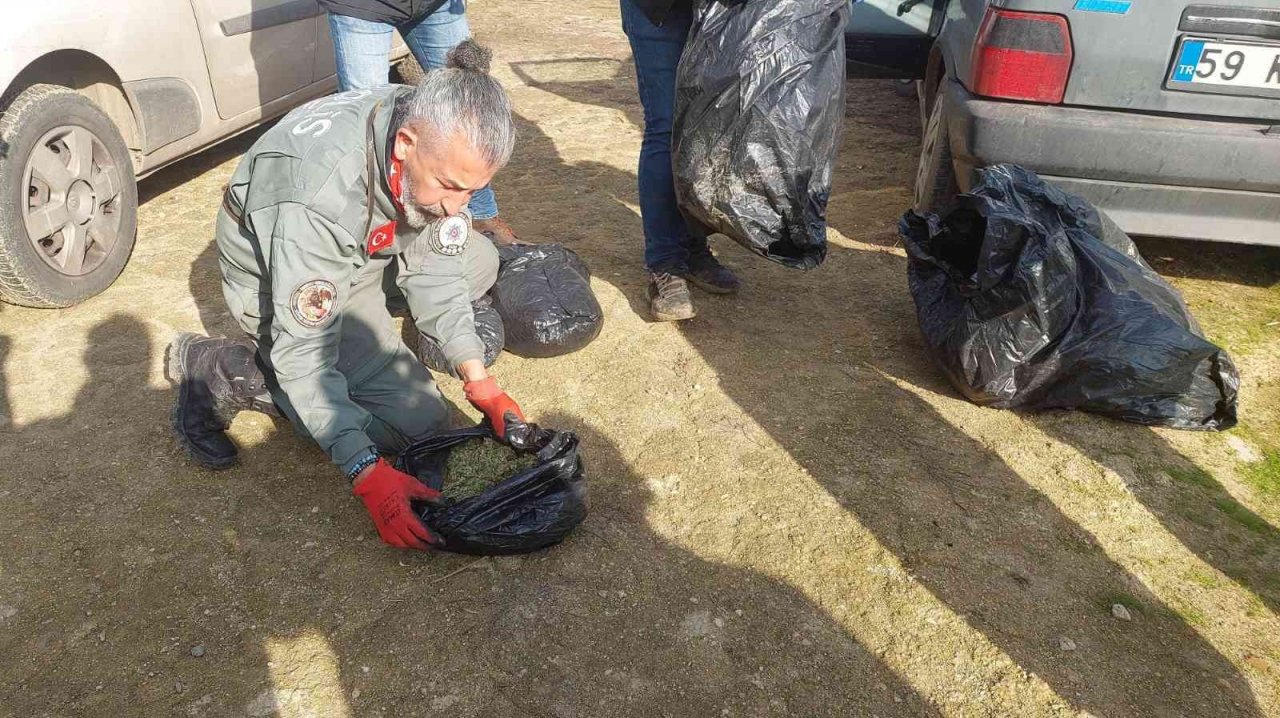 Köyden adeta esrar fışkırdı: Her yere esrar gizlenmiş