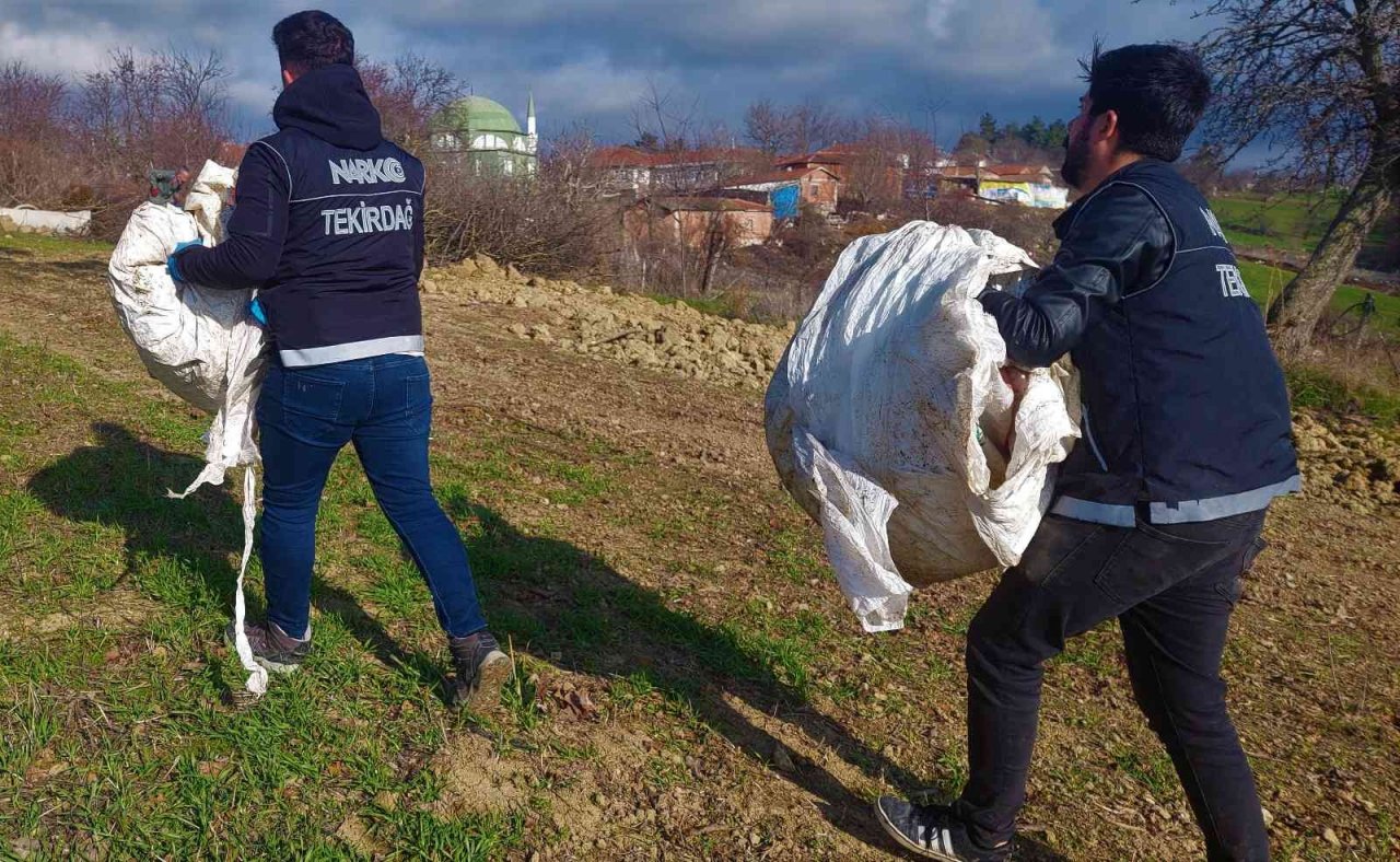 Köyden adeta esrar fışkırdı: Her yere esrar gizlenmiş