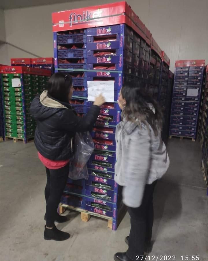 Sebze meyve ihracatı yapan firmalardan ihracat numunesi alındı