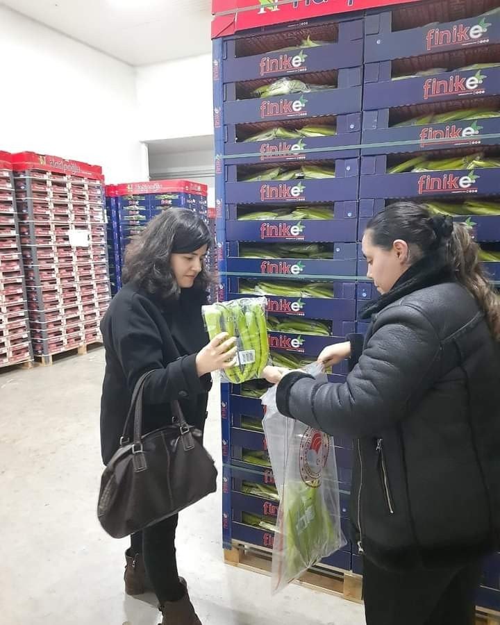 Sebze meyve ihracatı yapan firmalardan ihracat numunesi alındı