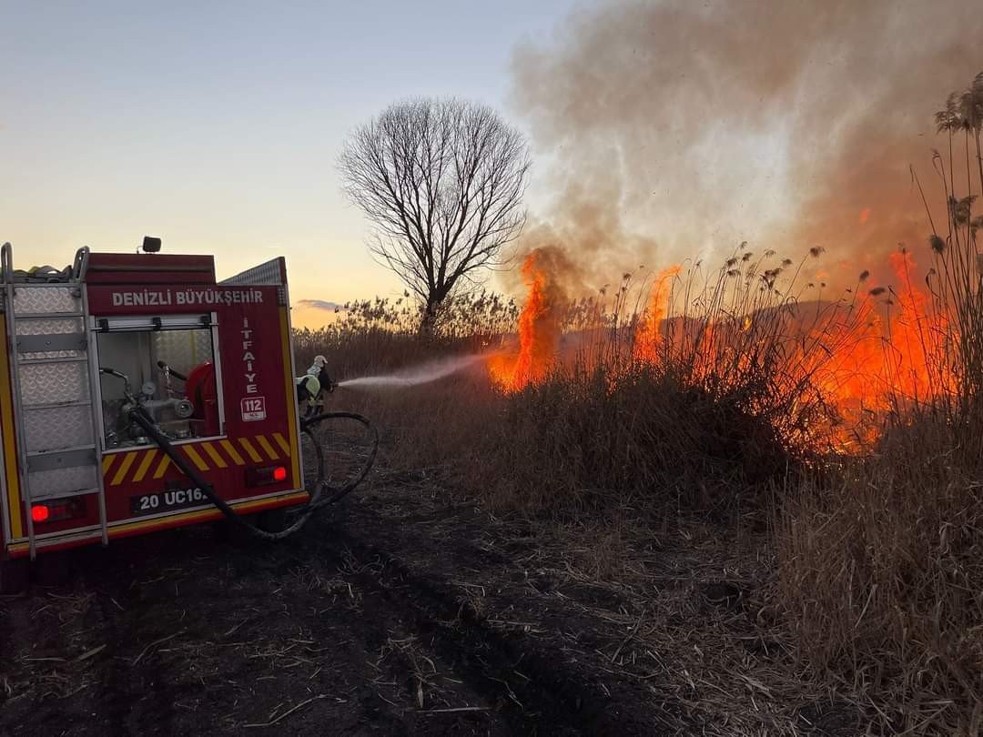 Sazlıklar alev alev yandı