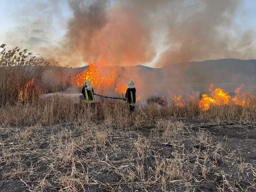 Sazlıklar alev alev yandı