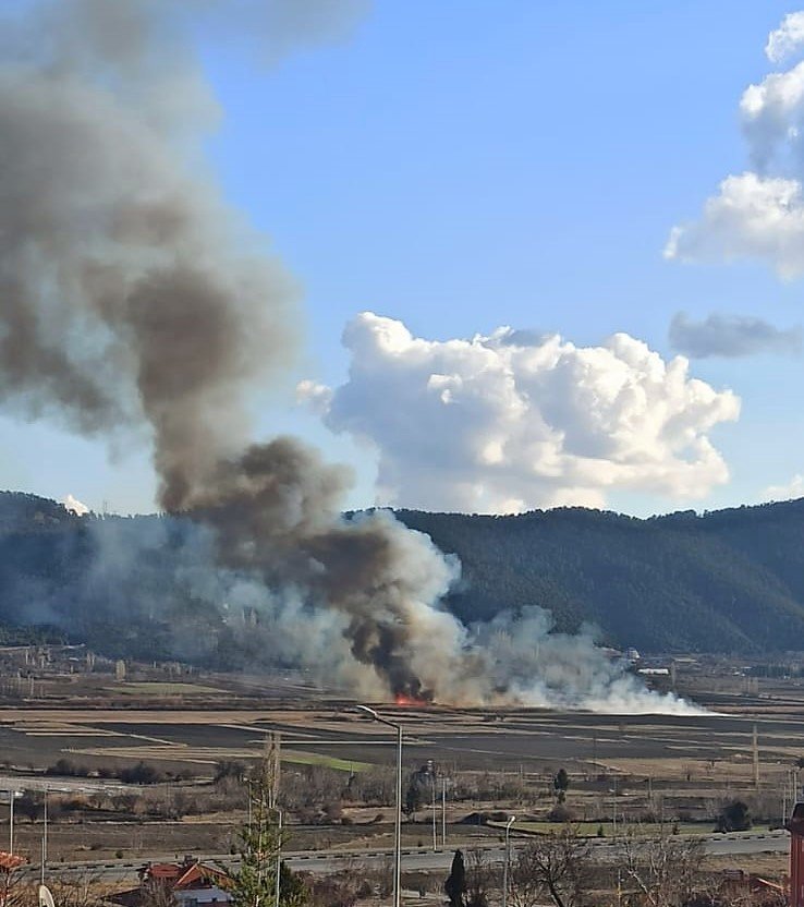 Sazlıklar alev alev yandı