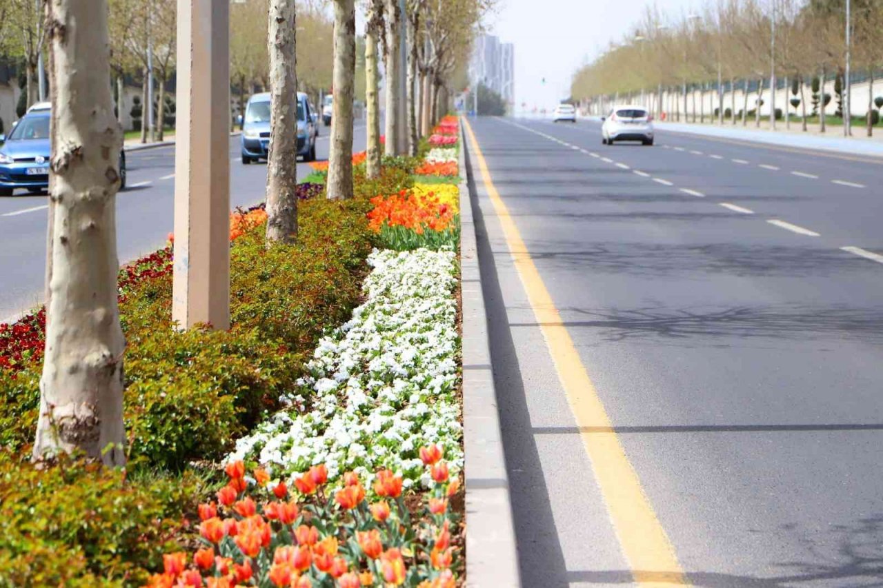 Diyarbakır 2022’de 3 milyon 384 bin mevsimlik çiçekle süslendi