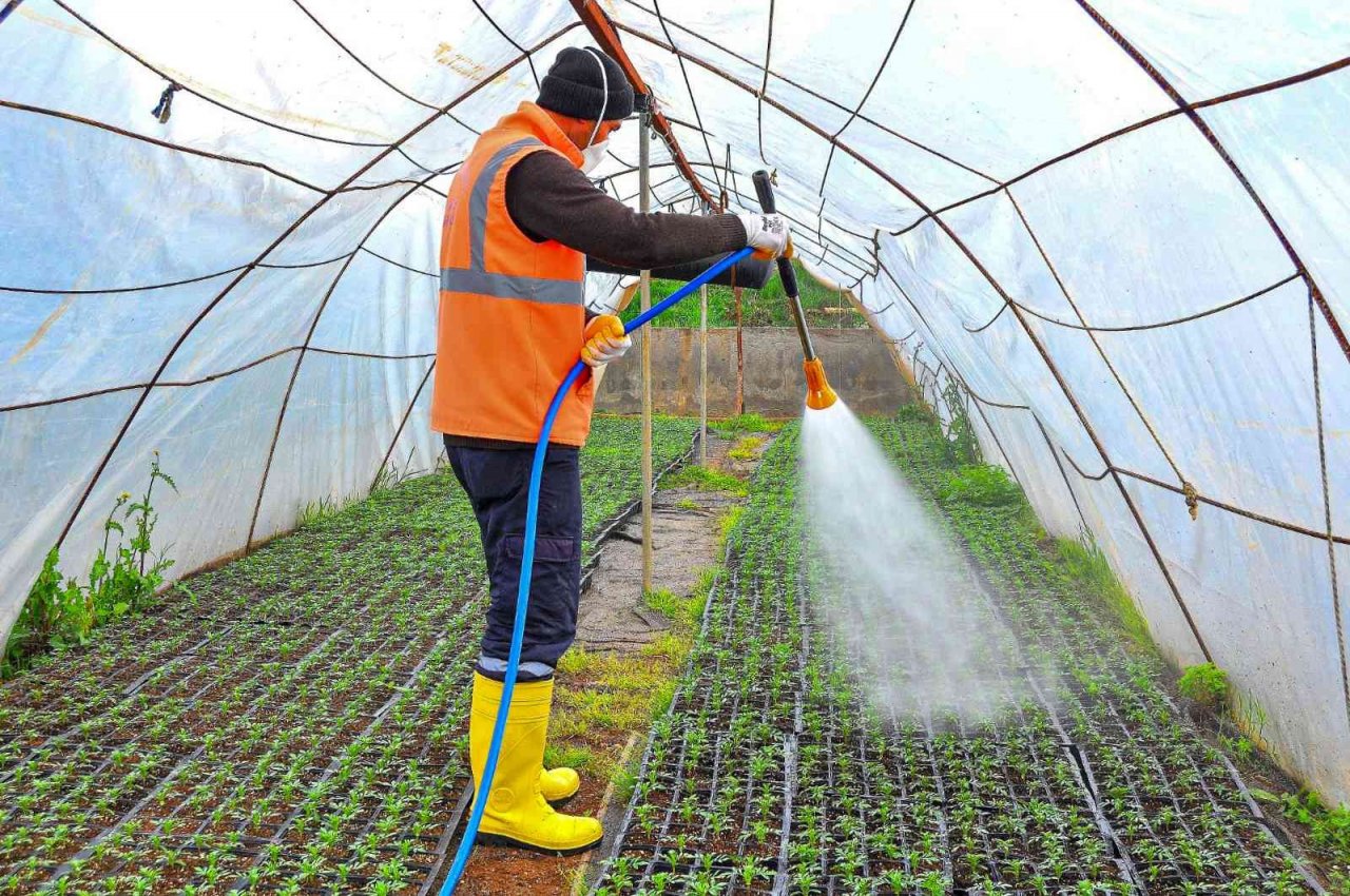 Diyarbakır 2022’de 3 milyon 384 bin mevsimlik çiçekle süslendi