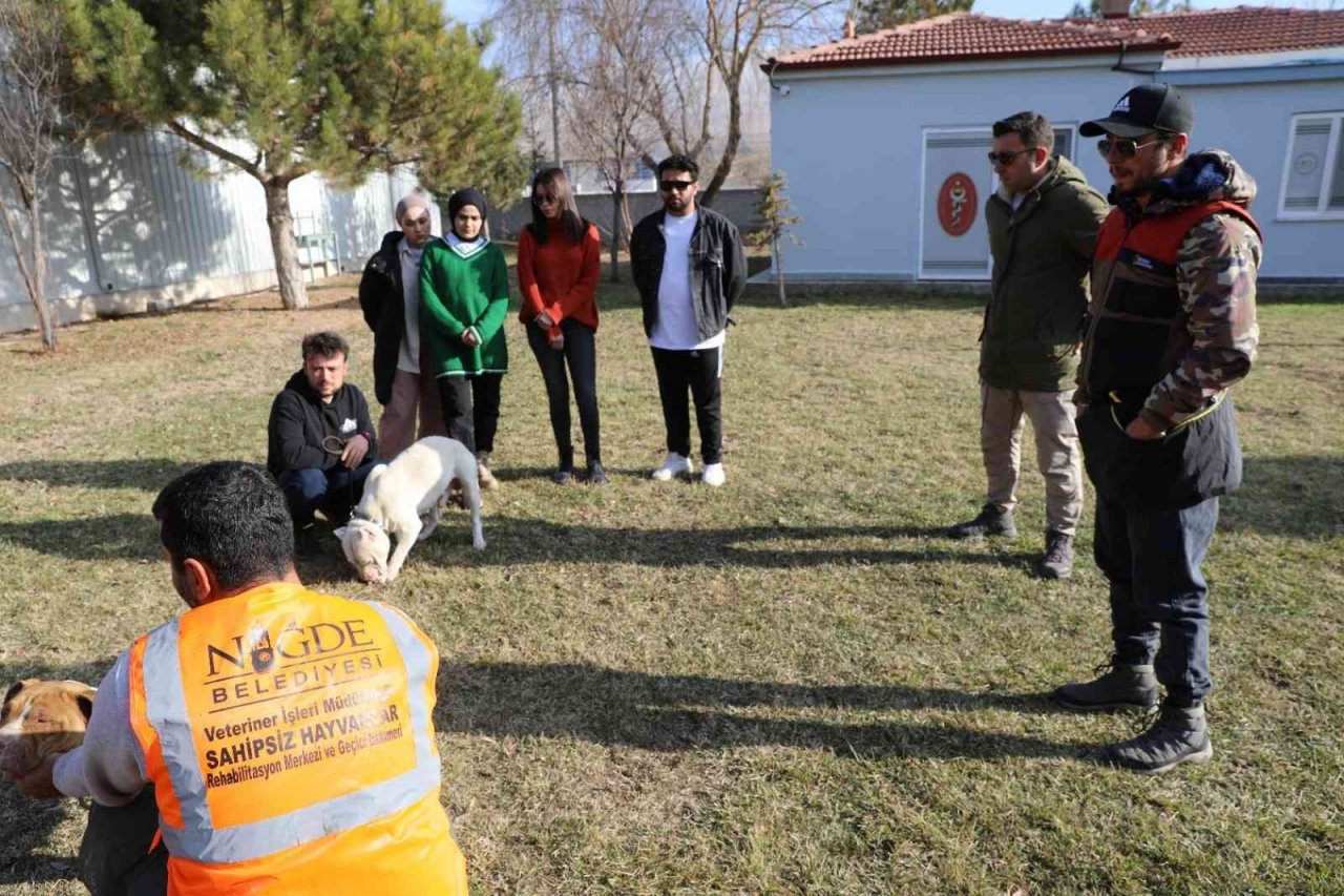 Niğde’de tehlikeli köpeklere uyum eğitimi veriliyor