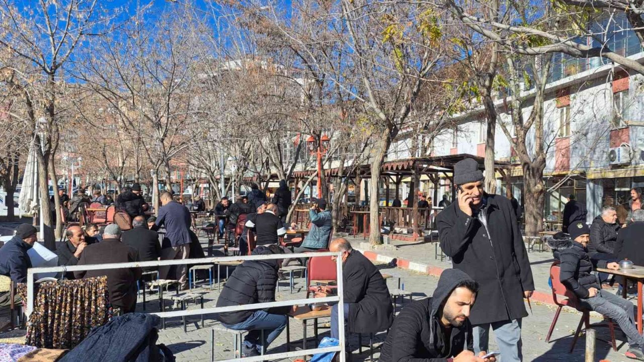 Adilcevaz’da yalancı bahar