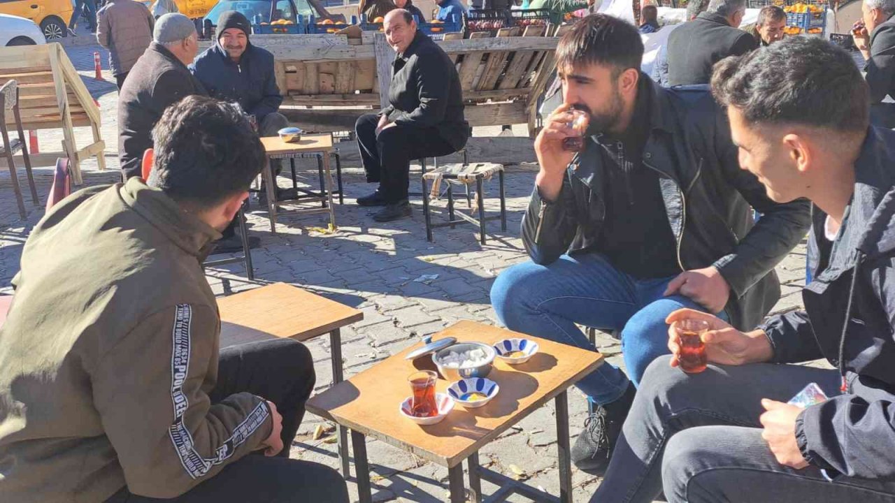 Adilcevaz’da yalancı bahar