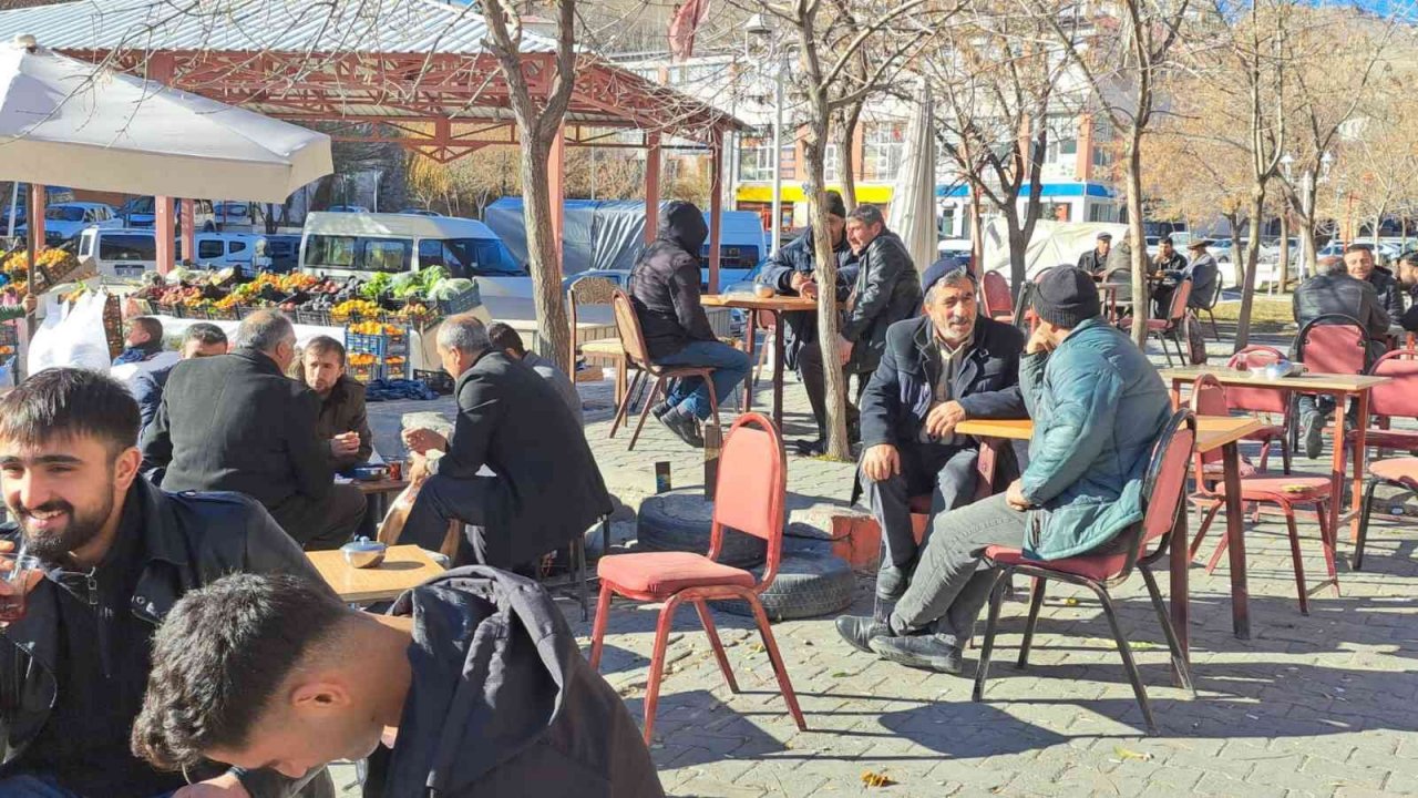 Adilcevaz’da yalancı bahar