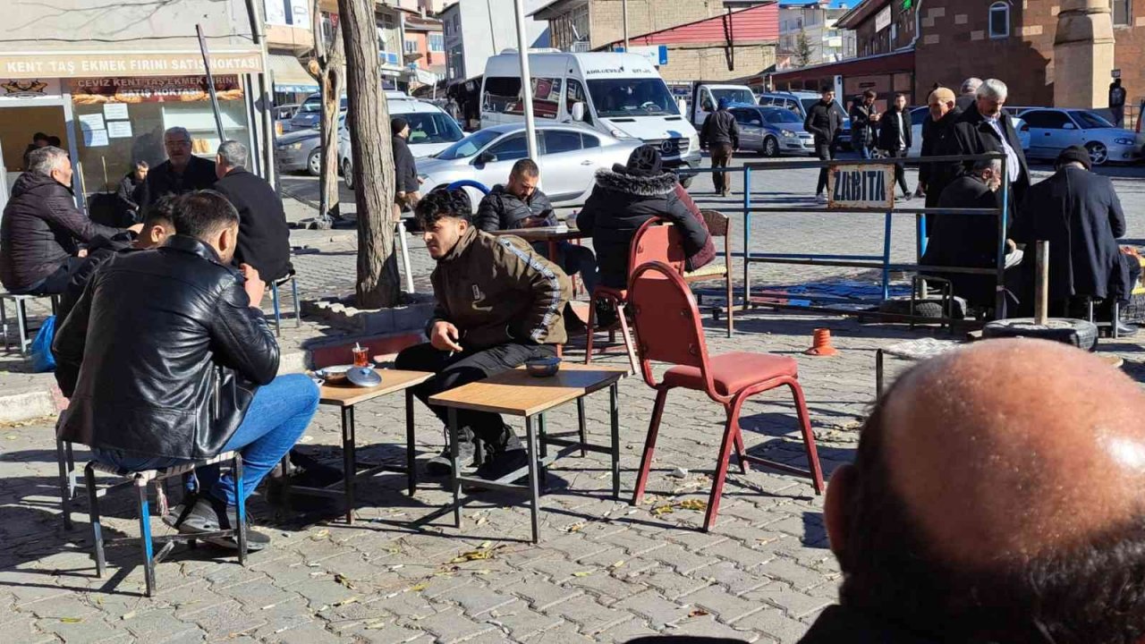 Adilcevaz’da yalancı bahar