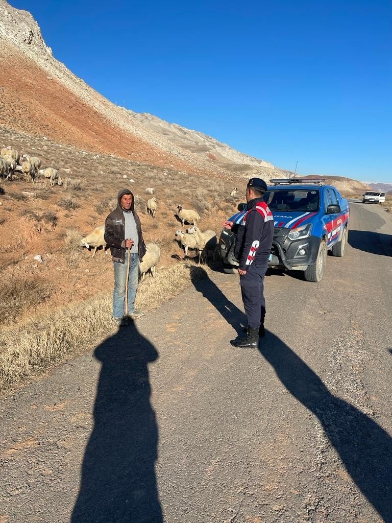 Kayıp Koyunlar Bulundu