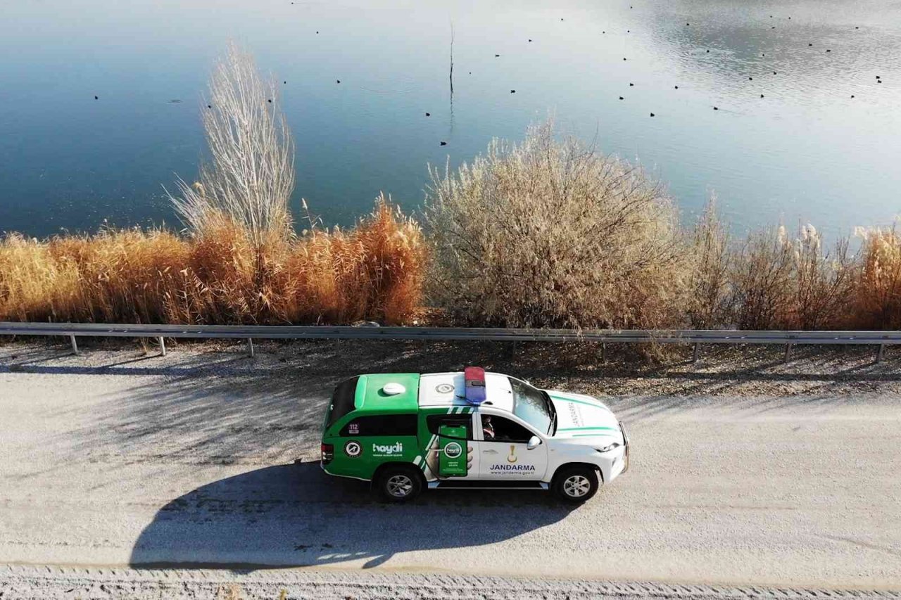 Jandarma ekipleri, sokak hayvanları için kulübe yaptı