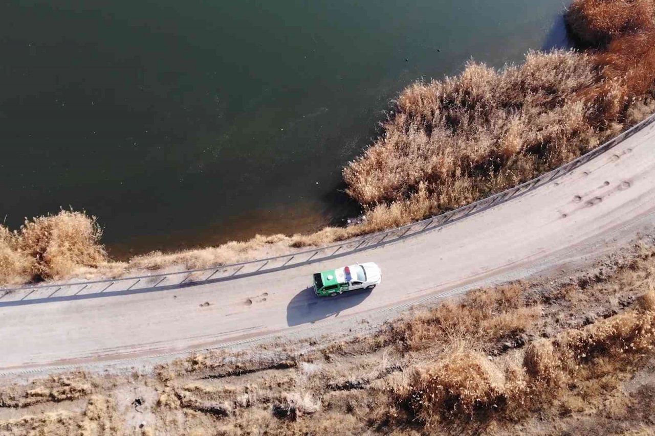 Jandarma ekipleri, sokak hayvanları için kulübe yaptı