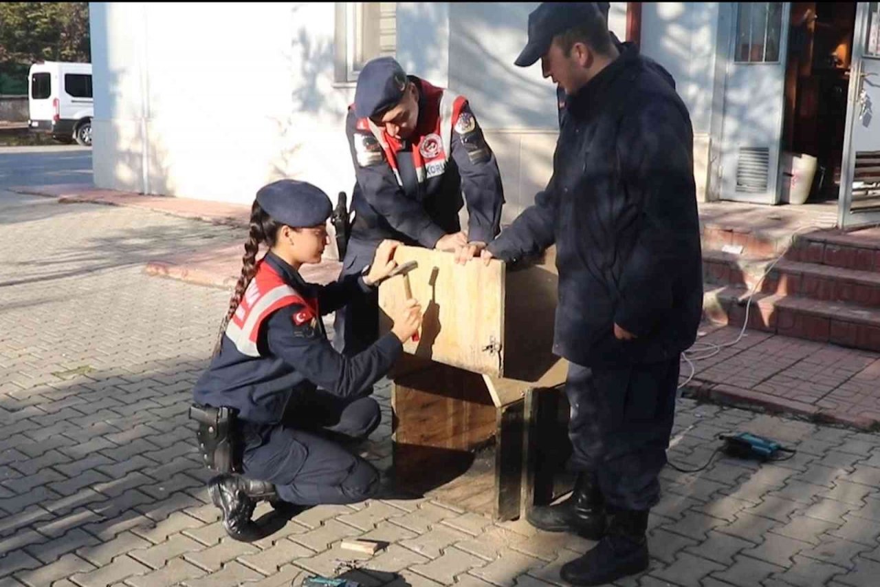 Jandarma ekipleri, sokak hayvanları için kulübe yaptı