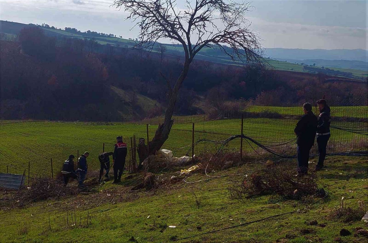 Köyü esrar tarlasına çeviren zanlı tutuklandı