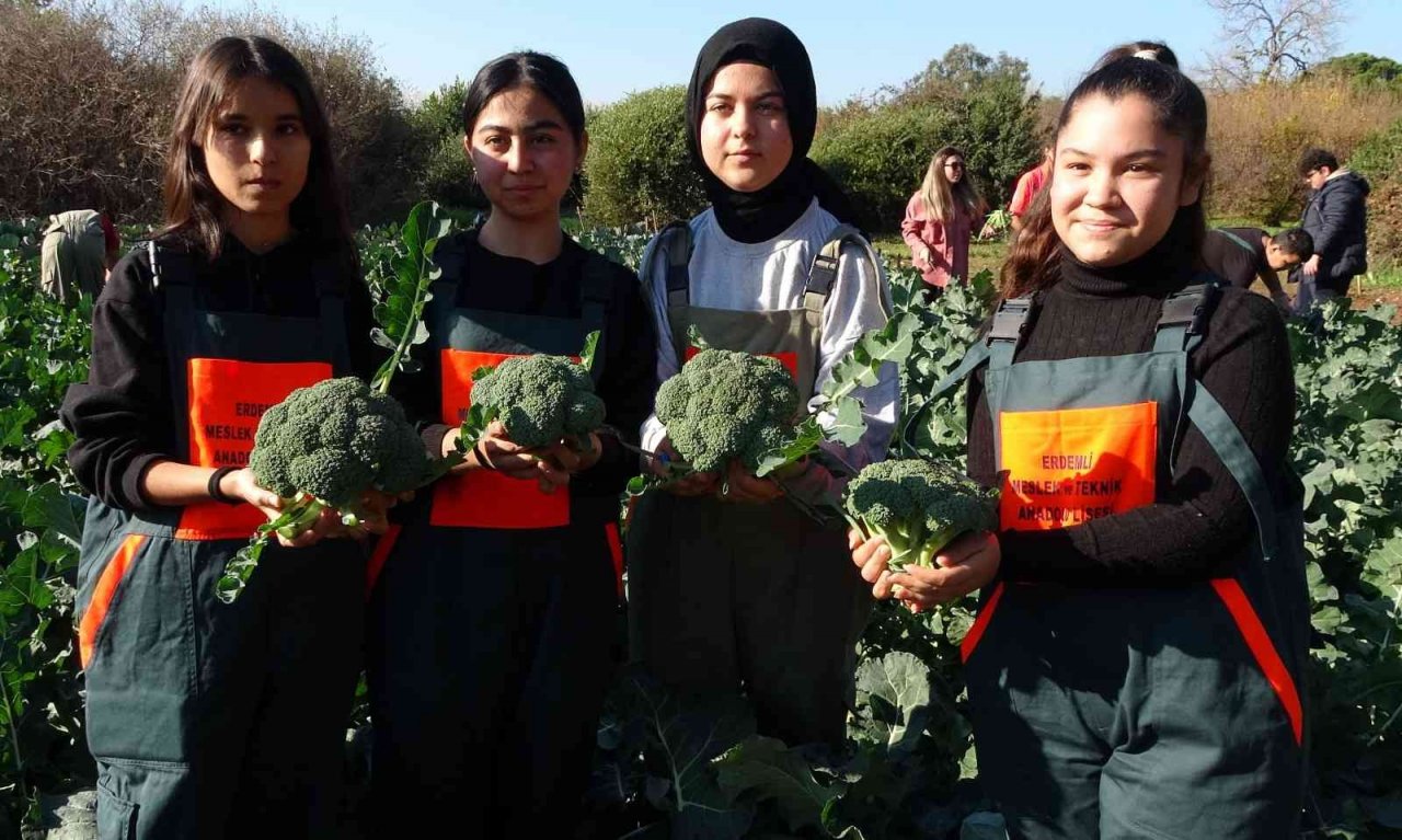 Üretime geçen tarım lisesi öğrencileri sebze hasadı yaptı