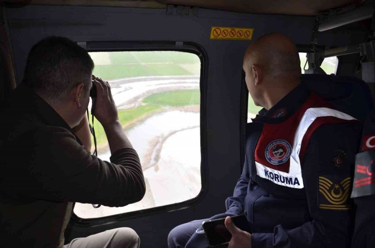 Muğla ve beraberindeki üç ilde yasadışı avcılığa geçit verilmiyor