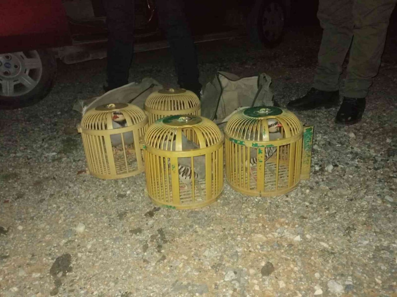 Muğla ve beraberindeki üç ilde yasadışı avcılığa geçit verilmiyor